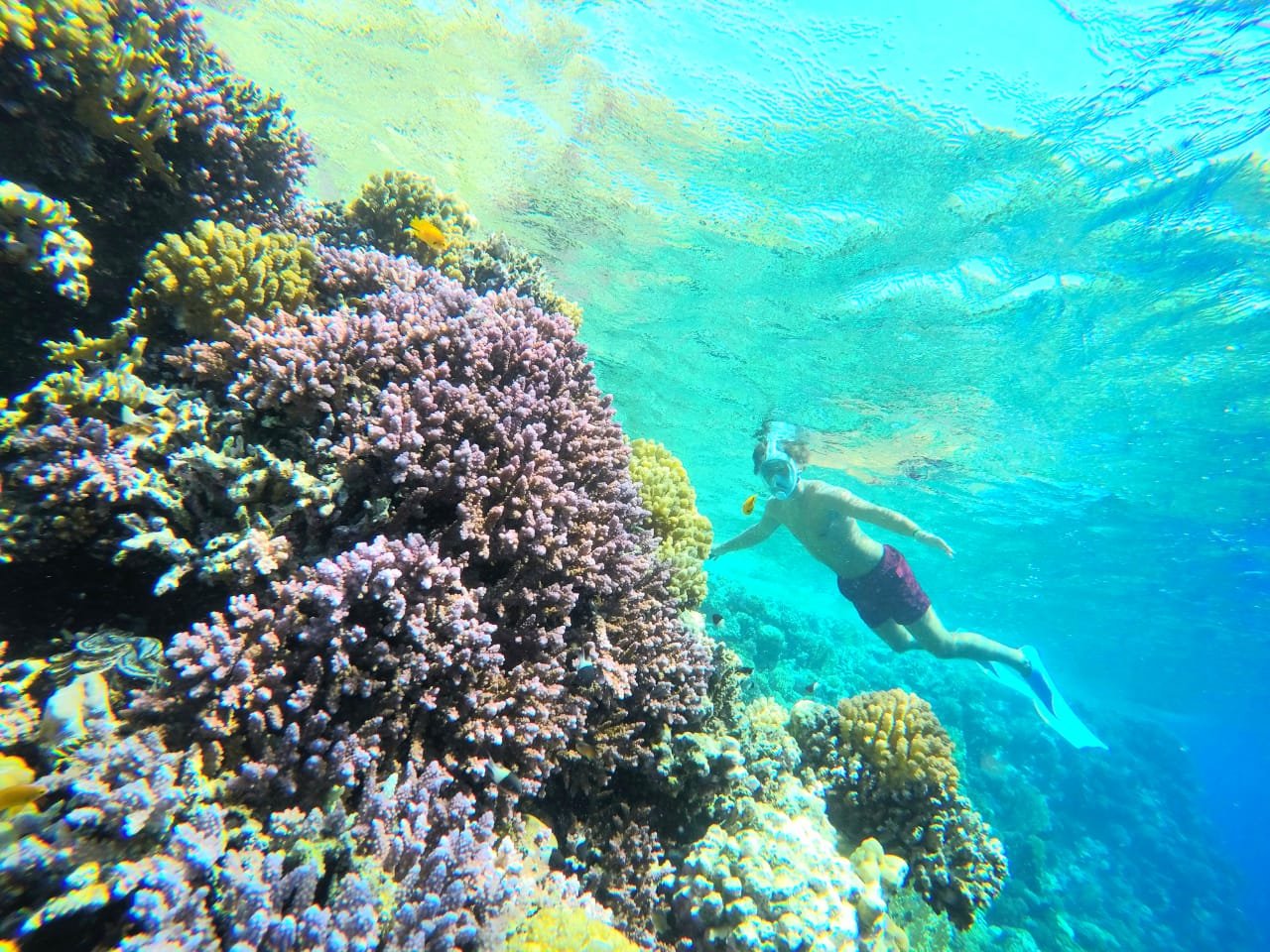 Sharm El Naga Snorkeling Tour - Smile Hurghada